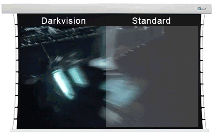 darkvision