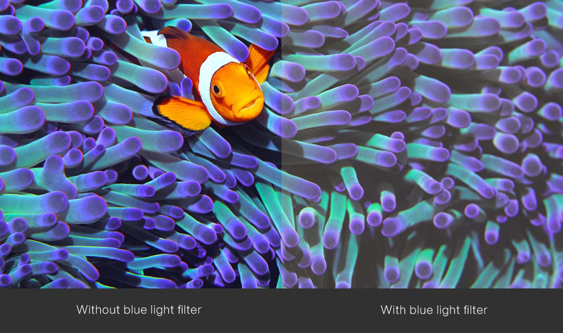 1000017576-Blue-filter
