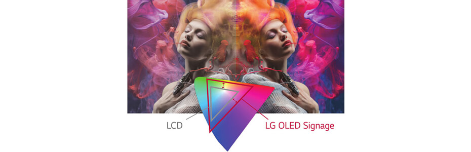 LG-55EG5CE-C-3