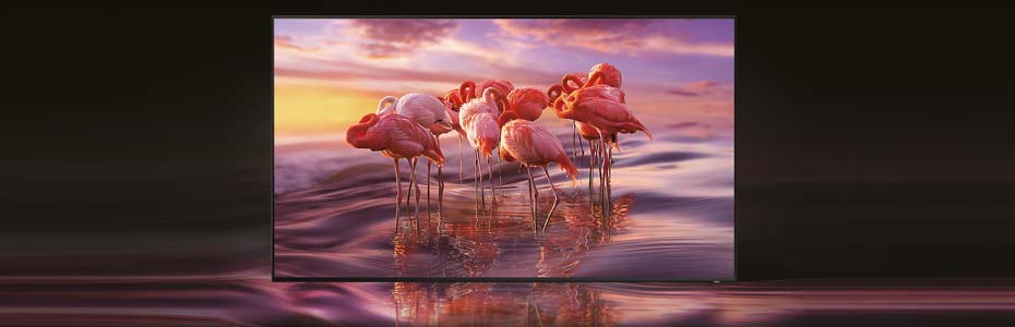 QLED_8K_Signage_Catalog_web_0515-35