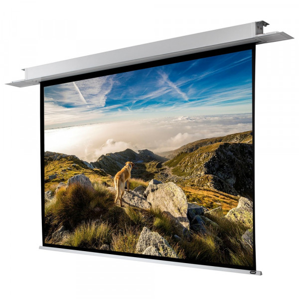 celexon Deckeneinbau Leinwand Motor Professional 280 x 210 cm