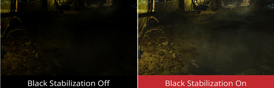 09-Black-Stabilization-STD