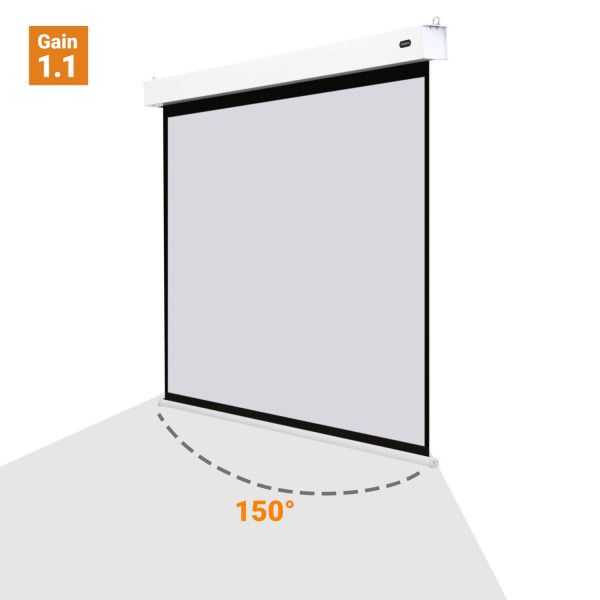 celexon Akku Motorleinwand Professional Plus - 200 x 150 cm - 4:3 - Gain 1,1