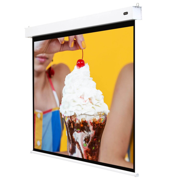 celexon Akku Motorleinwand Professional Plus - 200 x 150 cm - 4:3 - Gain 1,1