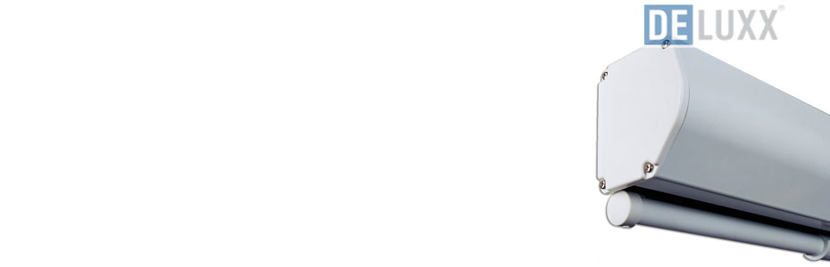 97 Zoll und Präsenatations-Beamer-Leinwand aus hochwertigem 4-lagigen Fieberglasgewebe DELUXX Advanced Rollo-Leinwand Mattweiss Interio mehrstufig einstellbare Heimkino 1:1-175x175 cm 