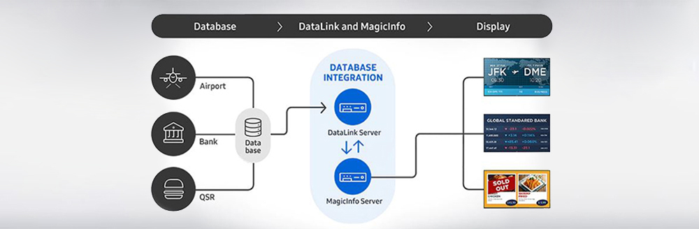 Magic Info Database Integration