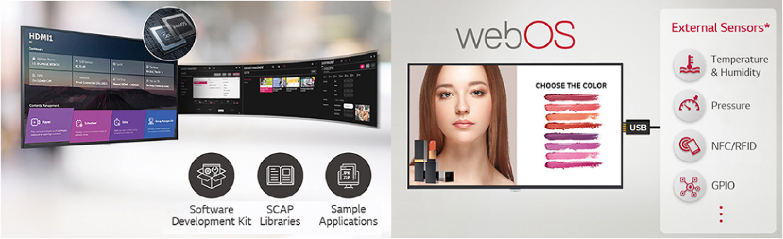 WEB-01