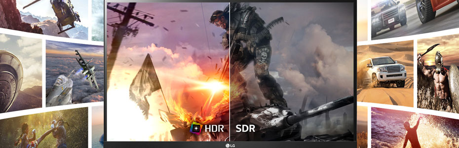 hdr92SvyPTPz5o1N