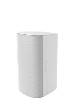 Biamp Systems Desono EX-S8-CM-W Lautsprecher weiß