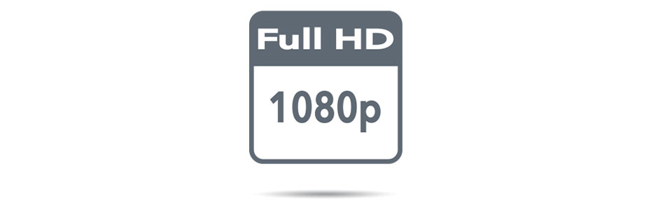 1000009817-2