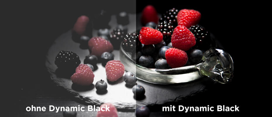 dynamicblackub6L24CrWzSWE