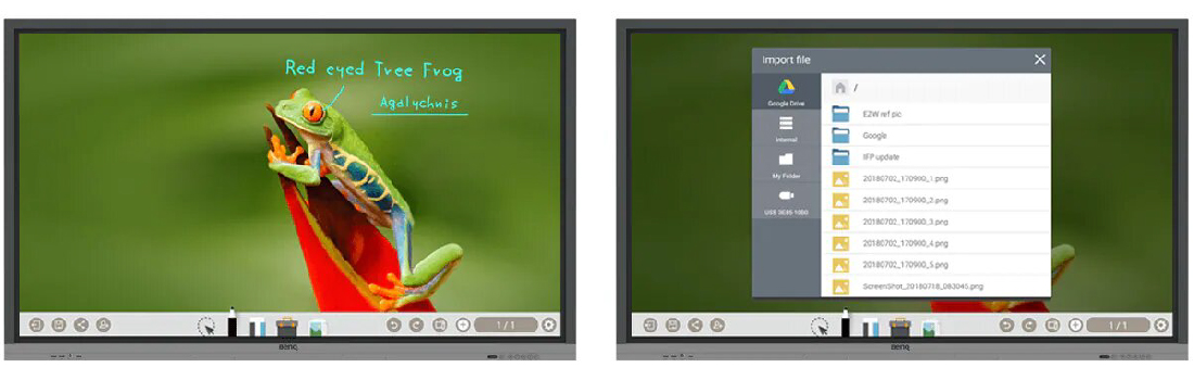 frog-01
