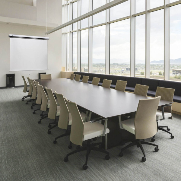 celexon Leinwand Rollo Expert 220 x 165 cm