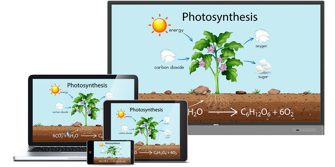 photosynthese