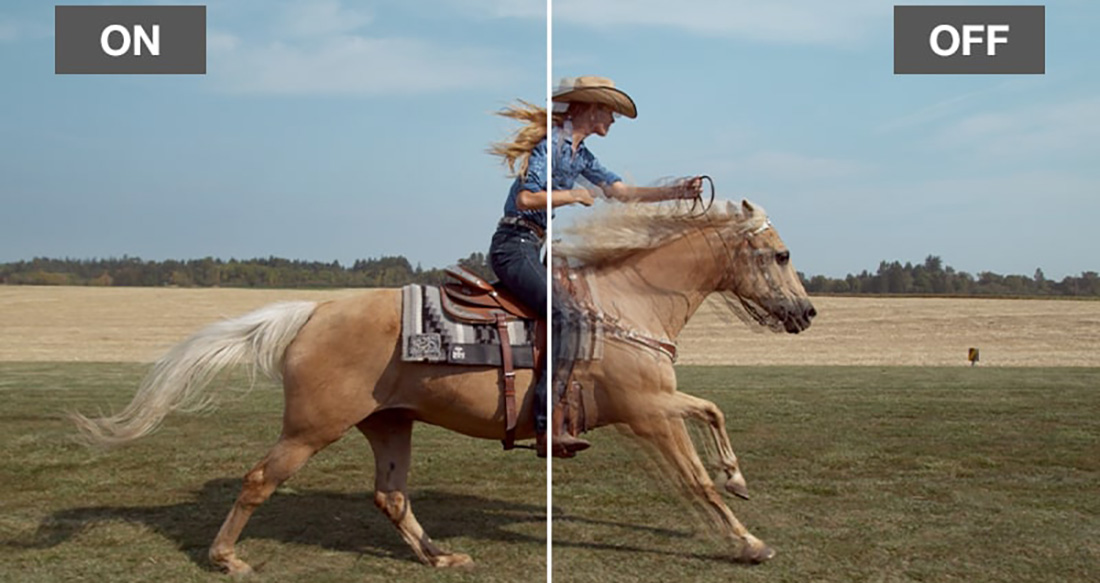 cowgirls