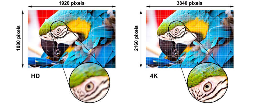1FSDfaew65TXYp