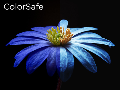 colorsafekjPoO2TI3asFE