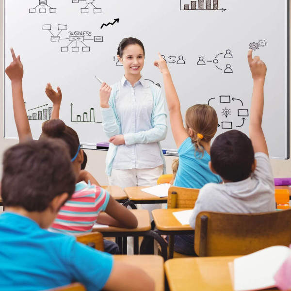 celexon Whiteboard Projektions-Schreibtafel Professional 213 x 120 cm