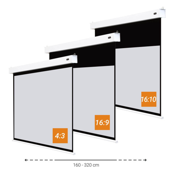 celexon Akku Motorleinwand Professional Plus - 200 x 150 cm - 4:3 - Gain 1,1
