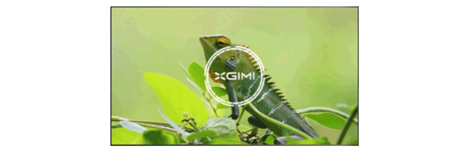 19acd088f2c2fd6a3b3de672c784e6ca